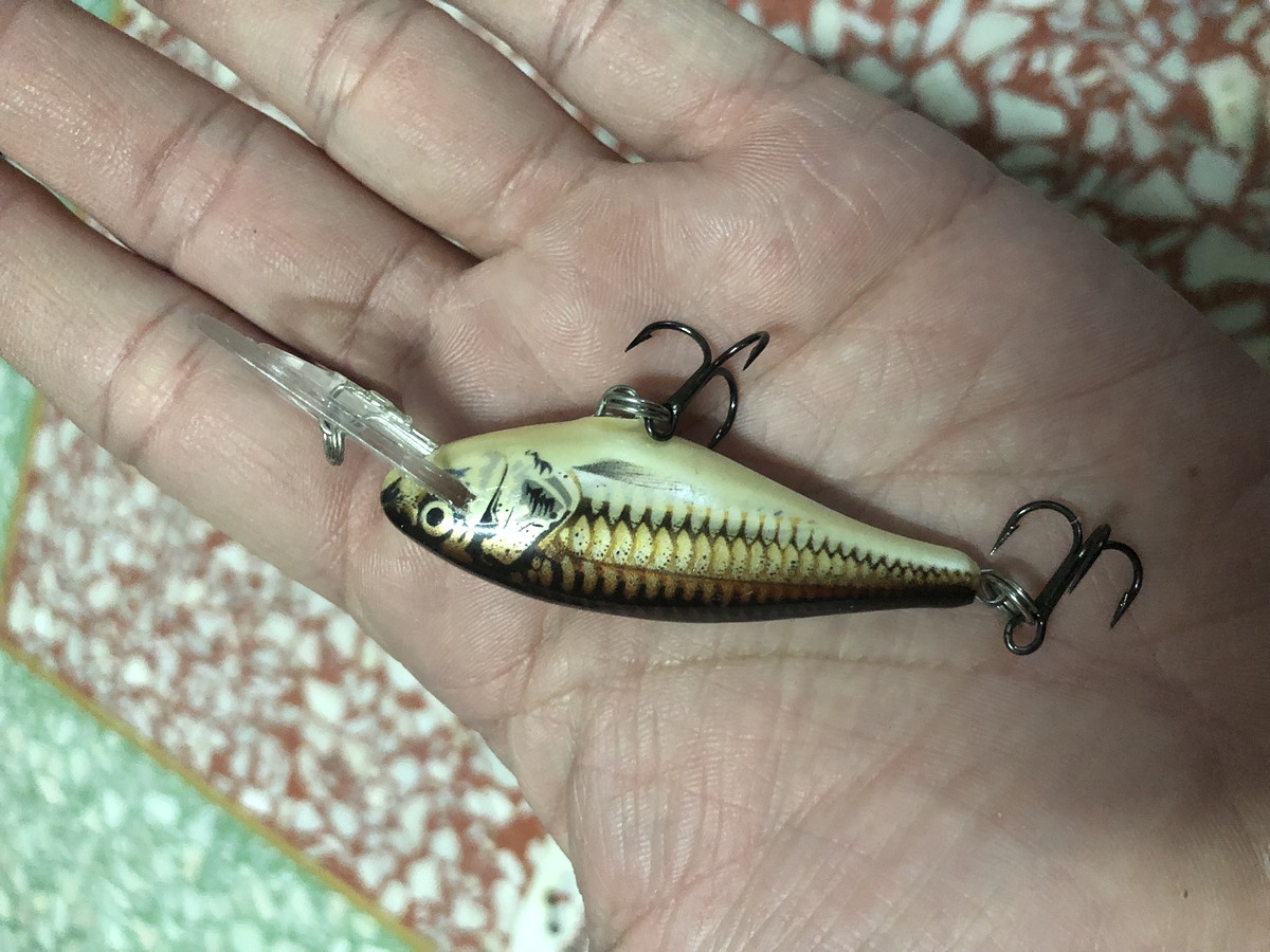 Shad Rap 5 cm