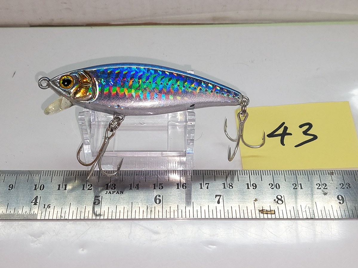   Dum fishing       *******     LURE #   43   ********