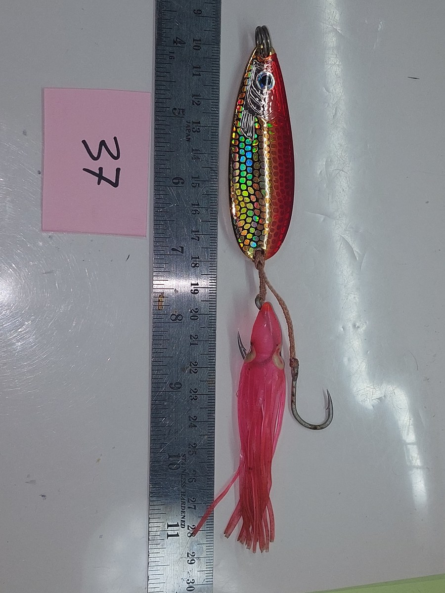   Dum fishing       *******     LURE #   37   ***   DAIWA    *****