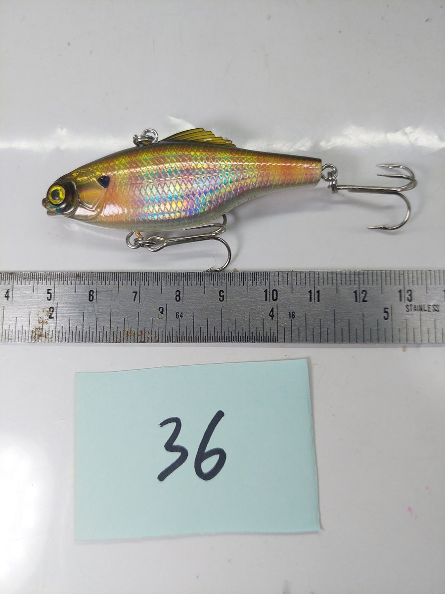   Dum fishing       *******     LURE #   36   ********