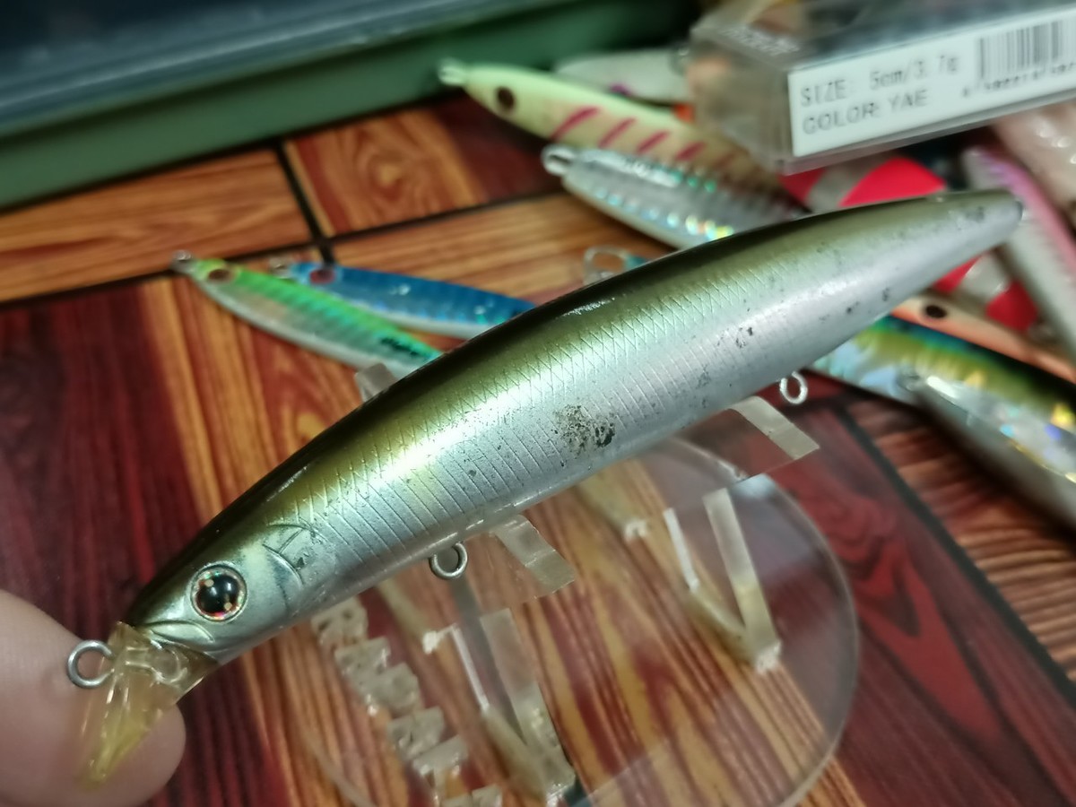 Daiwa shore Line Shiner Z 120F