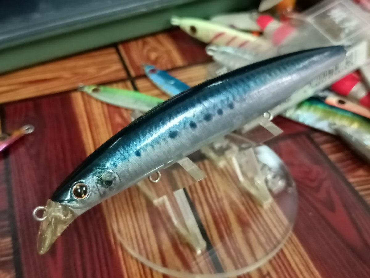 Daiwa shore Line Shiner Z 120F