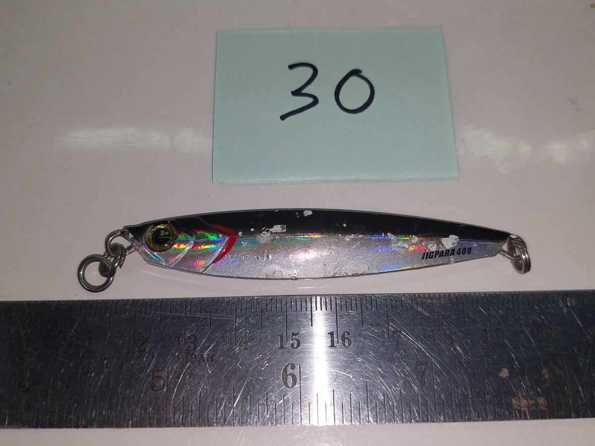   Dum fishing  *****   LURE #   30   MAJOR CRAFT  JIGPARA   ******