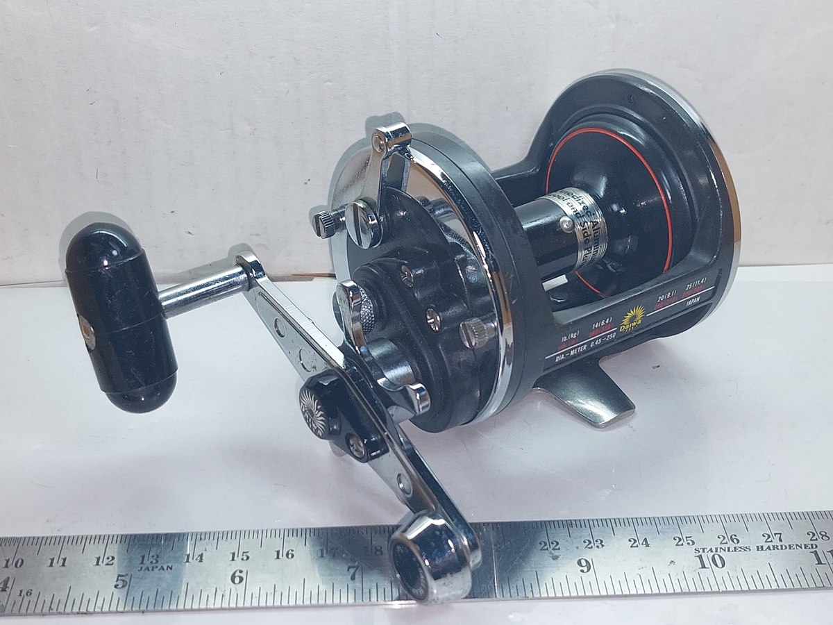   Dum fishing   #  6    *******    DAIWA   SEALINE  30  H      ********