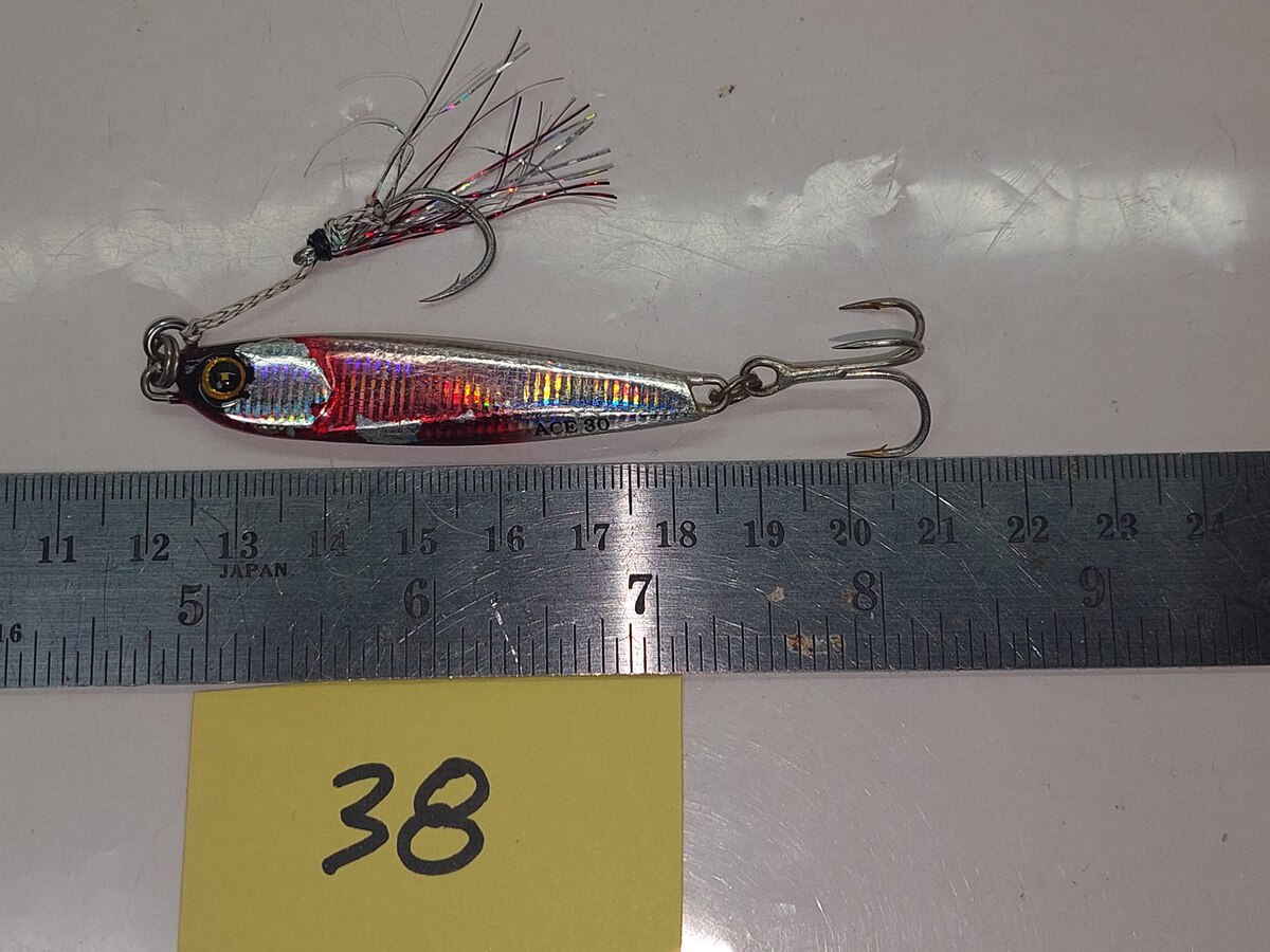   Dum fishing       *******     LURE #    38   ****   ACE   ****