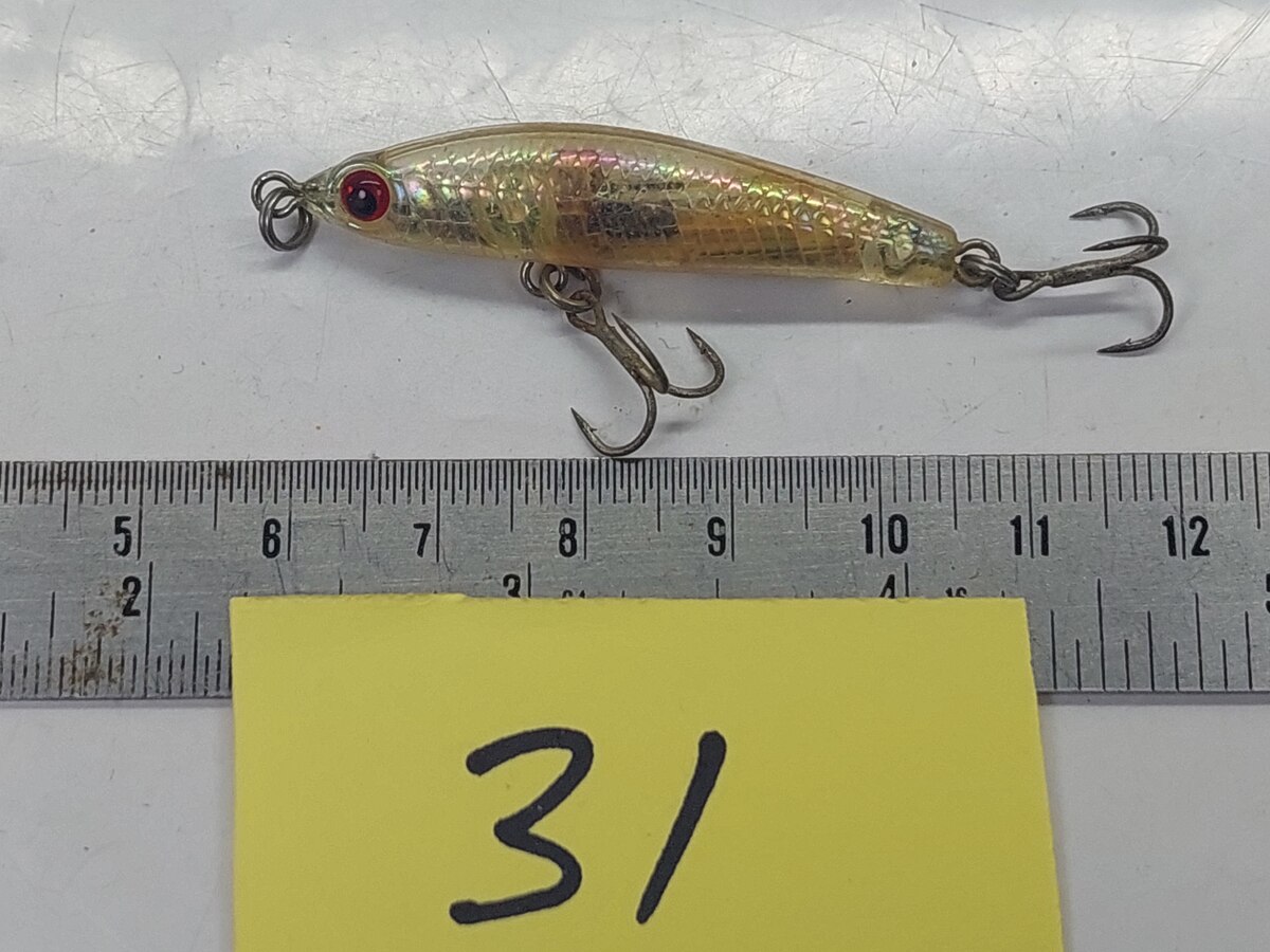   Dum fishing       *******     LURE #    31   ********