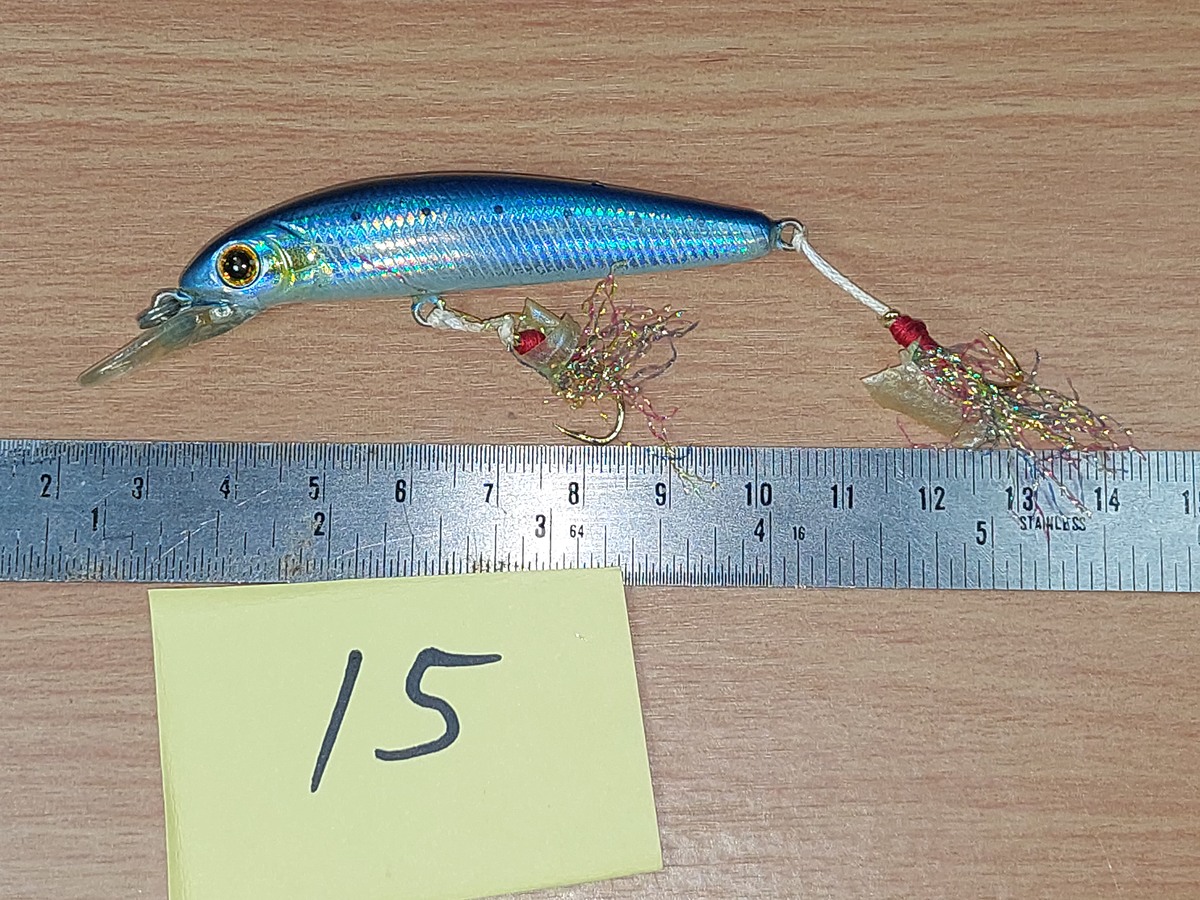   Dum fishing       *******     LURE #    15   ********