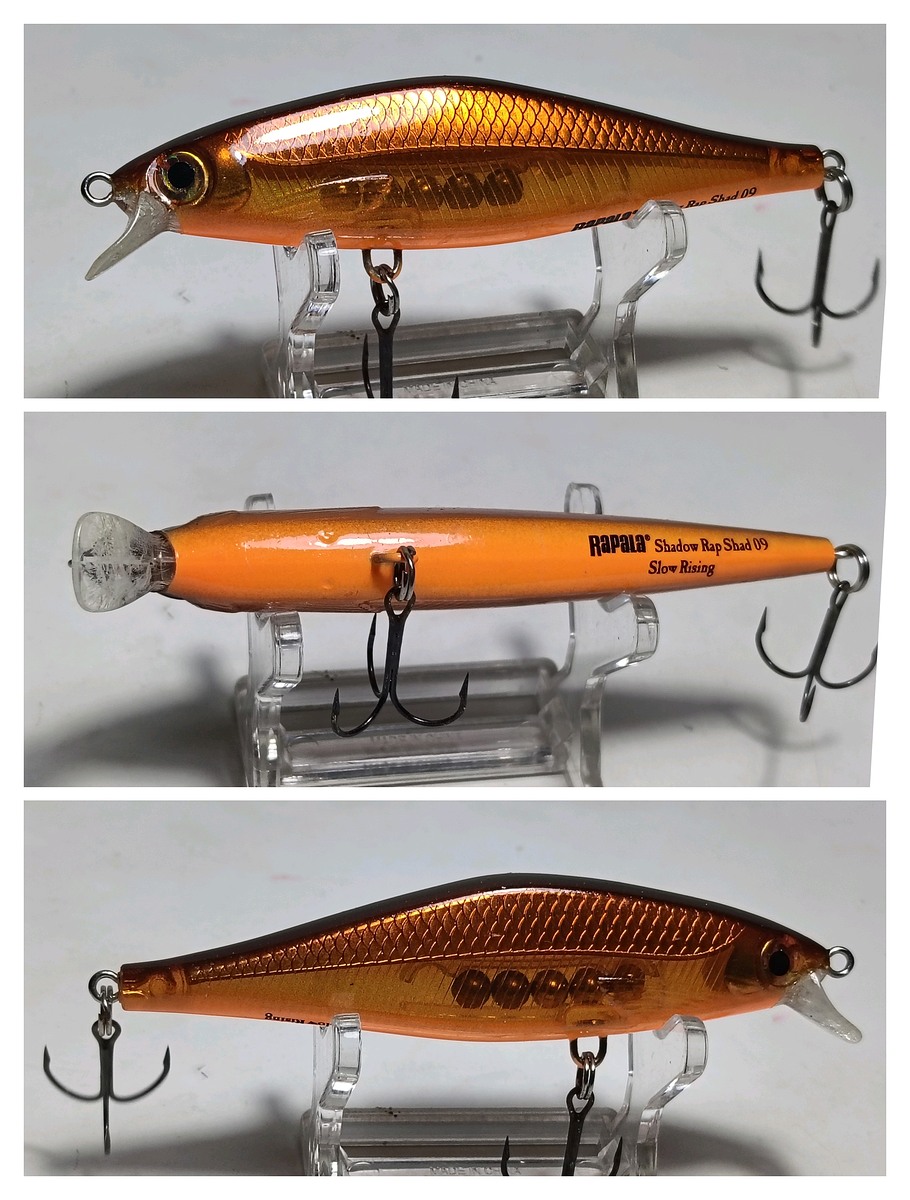 Shallow rap shad 09