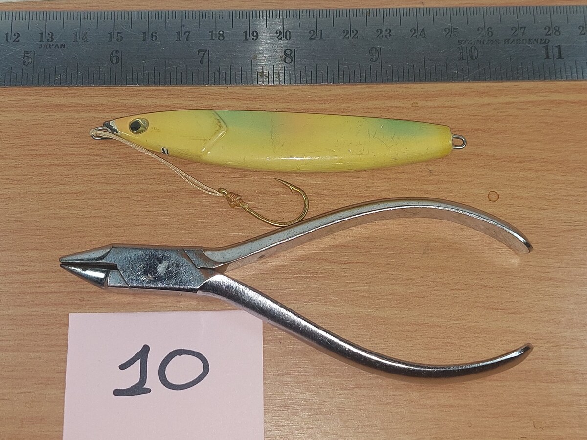   Dum fishing       *******     LURE #    10   ********