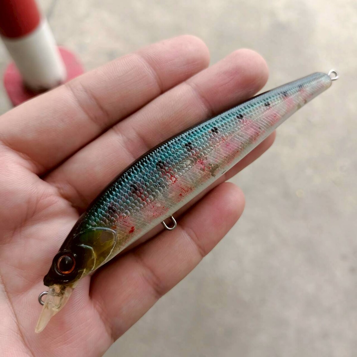 ✴️✴️✴️ Daiwa Shore Line Shiner 120F✴️✴️✴️