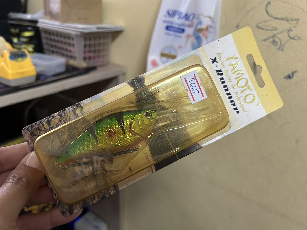 Yamoto(8cm)