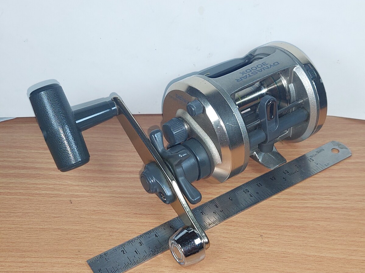   Dum fishing   # 4     ****      DAIWA    DYNASTAR  150 DX      *****
