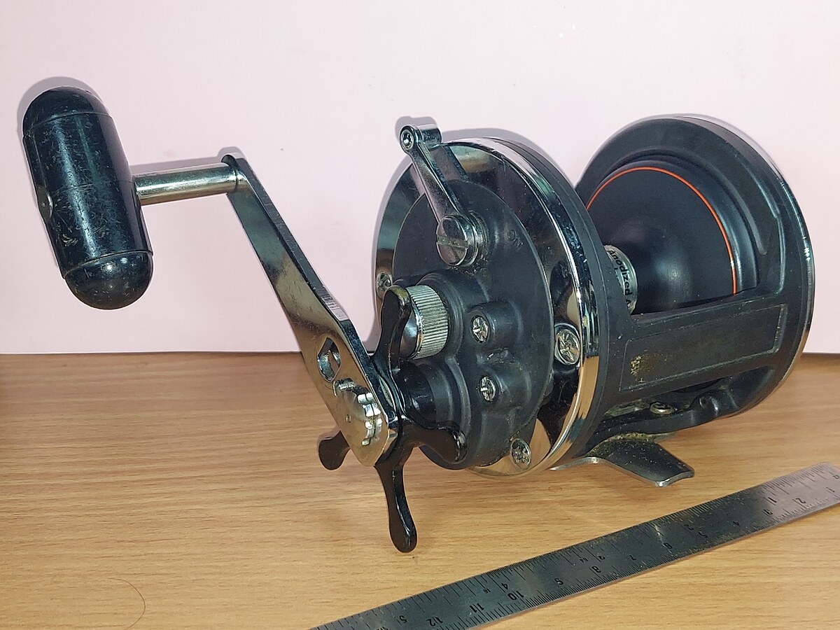   Dum fishing   #  6      *******    DAIWA   SEALINE 300 H     ******