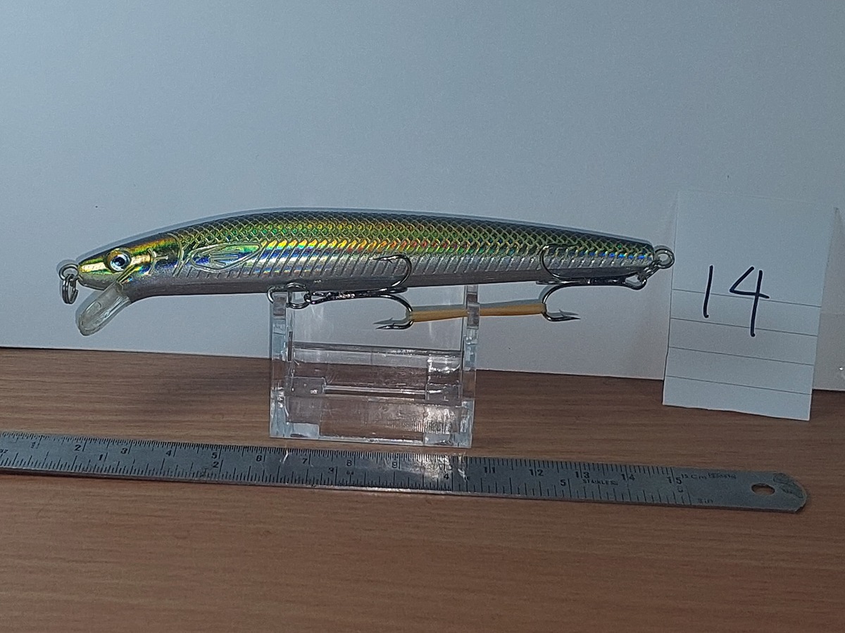   Dum fishing       *******     LURE # 14   ********