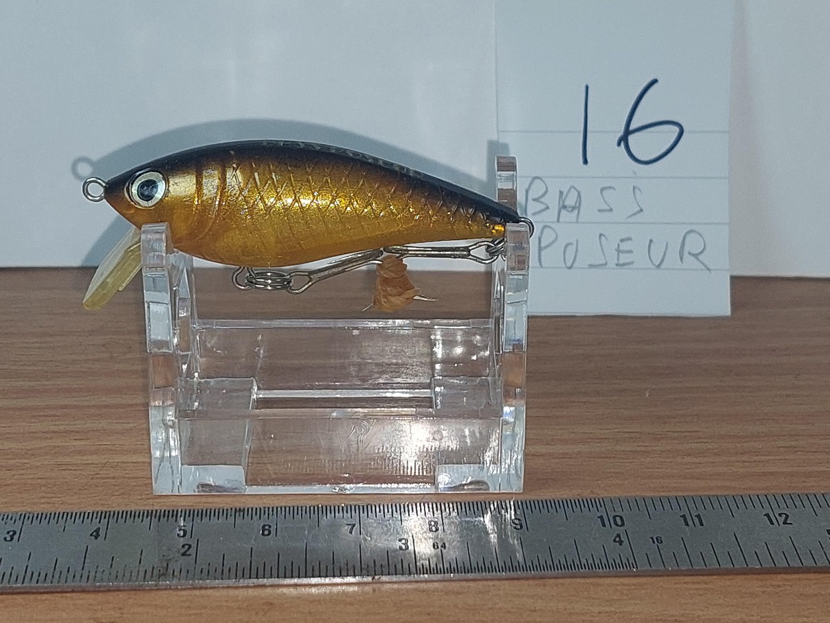   Dum fishing       *******     LURE #    16     BASS   POSEUR ********