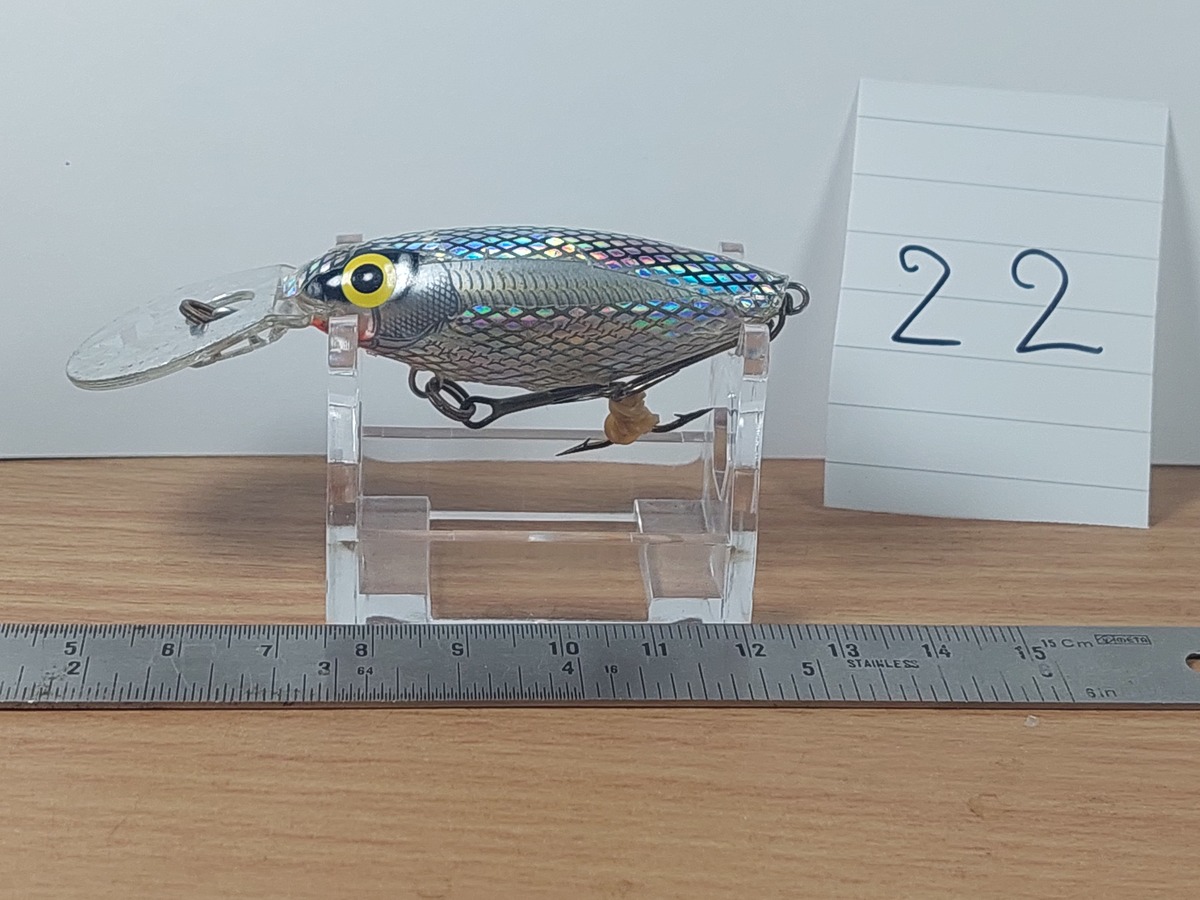   Dum fishing       *******     LURE #    22  ********