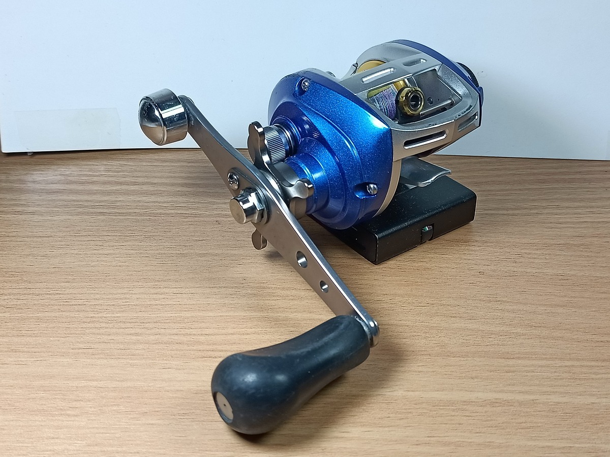   Dum fishing   #  28       *******  DAIWA   AIRD  100  R    *******