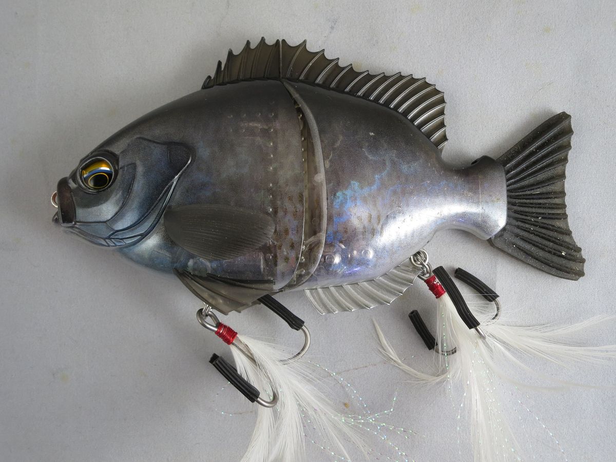 EverGreen BREAM SLIDE