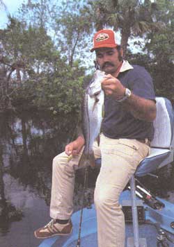 Snook ญาติของกระพงขาว ตกที่ South Florida
(ภาพ: The world atlas of saltwater fishing, 1990)  