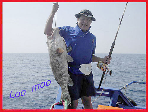 
อิ อิ ป๋า ลองอันนี้หน่อยสิครับ

http://www.siamfishing.com/board/view.php?tid=15621
