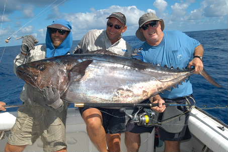 An estimated 95 kg Dogtooth caught jigging Frederick Reef in Australia, 2005. Caught by Shimano "BLU