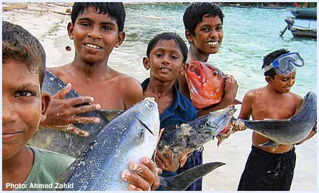 ขอเบอร์ติดต่อเรือลำนี้ด้วยครับ..บวกค่าใช้จ่ายในการออกทริปด้วยครับ..ปีที่แล้วผมกลับบ้านที่สุราษฎร์ฯ..