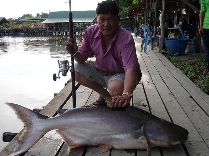 ตัวที่อัดอยู่
20กว่าโลเองครับ