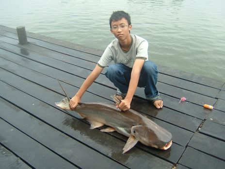 ชื่อ ตอง
login skelton_minnow
เกิด 25 กันยายน 2534
ที่อยู่ ติวานนท์ นนทบุรี
ชอบตกปลา ท่องเน็ต อ่