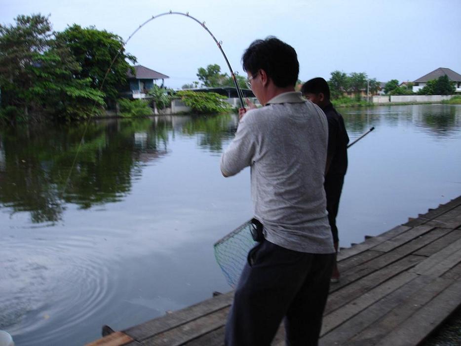เฮียแว่นนครประฐมมาแข่งวันอาทิตย์ที่21/5/49
ได้ปลาบึกน้ำหนัก26.7กิโลกรัมได้รับรางวัลที่2ที่บ่อเงาน้ำ