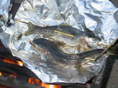We kept two trout for a BBQ dinner at the camp site