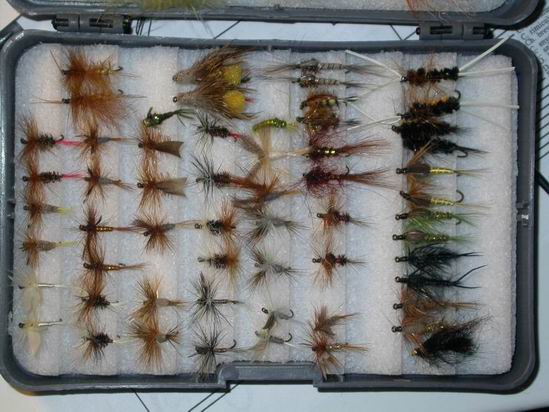 flies collection !