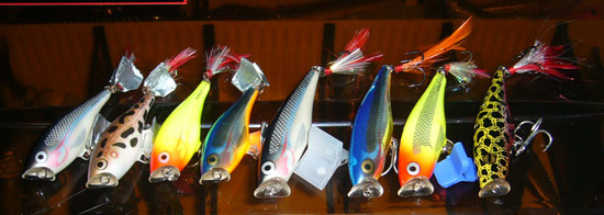 Rapala Skitter Pop 5 กะ 7 cm. ตัวขวาสุดทำสีเอง ลายตุ๊กแกนึ่งมะนาว 