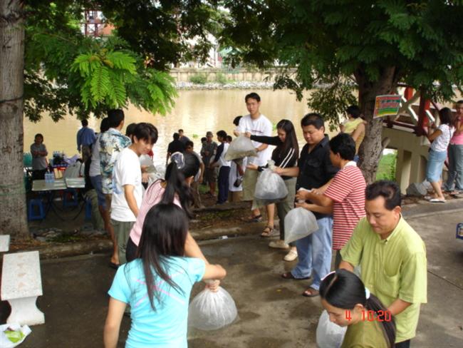 ภาพแสดงพลัง ร่วมใจแบบนี้ กำลังจะกลับเข้ามาสู่สายตาของเราอีกครั้ง...