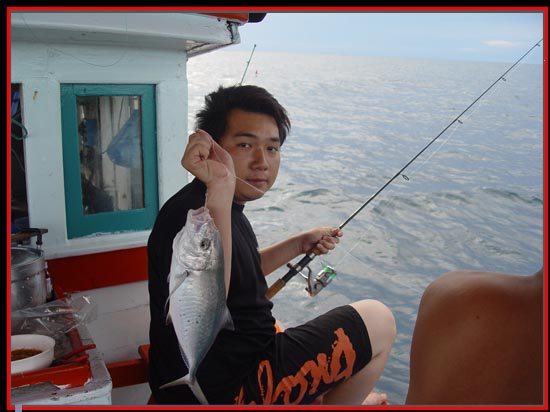 นอกจากฝูงปลาสากปล้องยังมีปลาง่องปนอยู่กับฝูงปลาสากครับ  :laughing: :laughing: