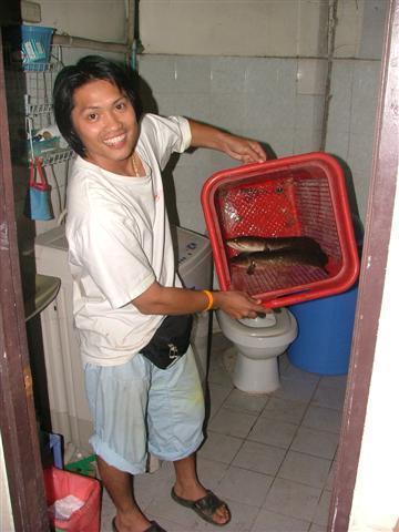 ยังอยู่ครับๆๆๆแต่..งงๆนะนั้นไมเอาปลาหลักฐานของฝากไปเก็บไว้ในห้องน้ำ :laughing: :laughing: :laughing: