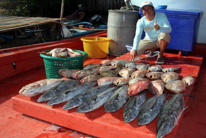 ปลาที่ตกได้มา ไม่มากไม่น้อย สำหรับทริพสั้นๆ 2วันกับท้องทะเลตราดที่ยังมี ปลาอินทรีย์ ปลาอังเกย ปลากระ