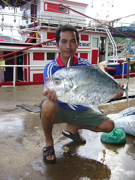 ทริบตราด กับ หน้าดินทีม