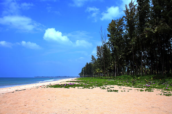 อีกรูปครับ อาจจะไร้เรื่องราว แต่ผมชอบที่เป็นมุมจุดบรรจบท้องฟ้า น้ำ หาดทราย และป่าสน  :grin: :grin: :