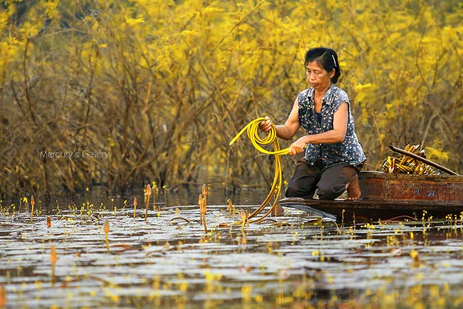 ลองดูซักรูปครับ  ไม่รู้ว่าใช้ได้หรือเปล่า ยังหัดเรียนทำภาพให้ลึกไม่ผ่านเลยครับ  :tongue: