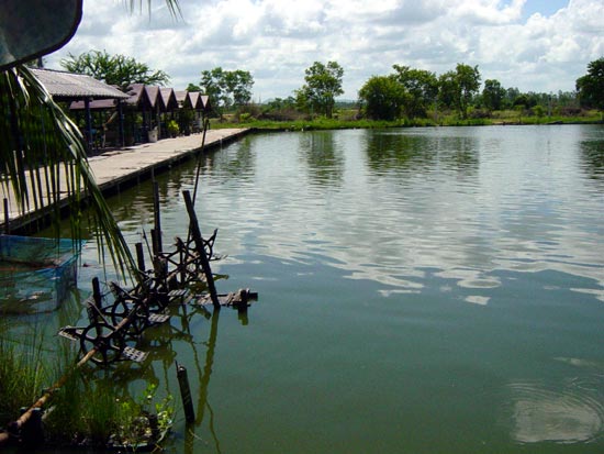 สำหรับสภาพหมาย ก้ออย่างที่กล่าวไว้ข้างต้นนะครับ ตามมุมบ่อเป็นจุดที่เหมาะสมสำหรับการตกสะปิ๋วมากที่สุด