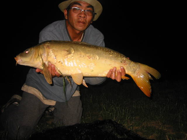 a mirror carp.. 