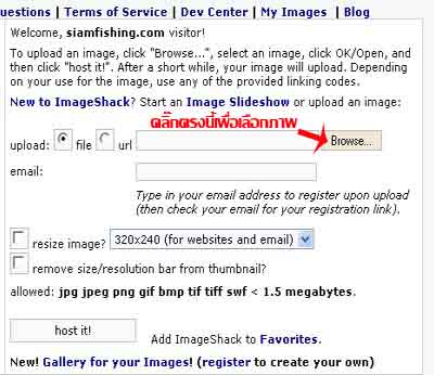   [u]ภาพ006[/u]

เลือกรูปที่ต้องการฝากโดยเริ่มจาก

 [b]คลิ๊กที่[/b]   [u]Browse[/u] ตามรูป

 [