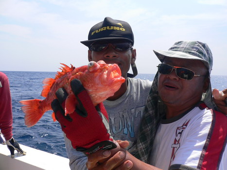 ตัวนี้เองที่ดึงโจ้เกือบตกเรือ อิอิ

สีสวยจังเลยอ่ะ
 :grin: :grin: :grin: :grin: :grin: