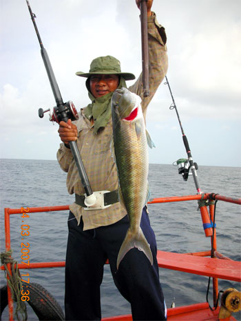 พี่แขก(คนไทยนาคับ แต่ชื่อว่าแขกไม่รู้ใครตั้งชื่อให้) โชว์อ๊อฟ greenjob fish หรือกะพงเขียว  3 โลปลาที