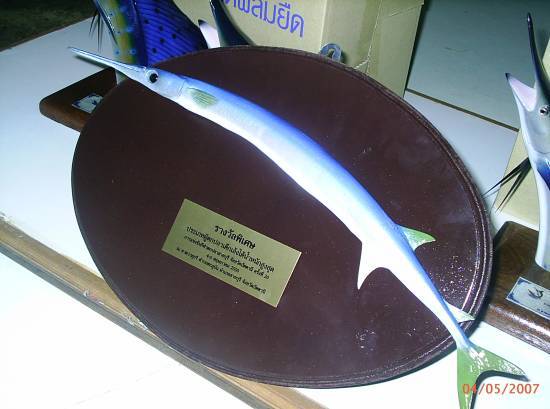 โล่ห์รางวัลปลาเกมส์พิิเศษ  [b]ปลาเต็กเล้ง[/b] ทีมยะลาเซอร์วิสได้ไปครับ ยินดีด้วยครับ