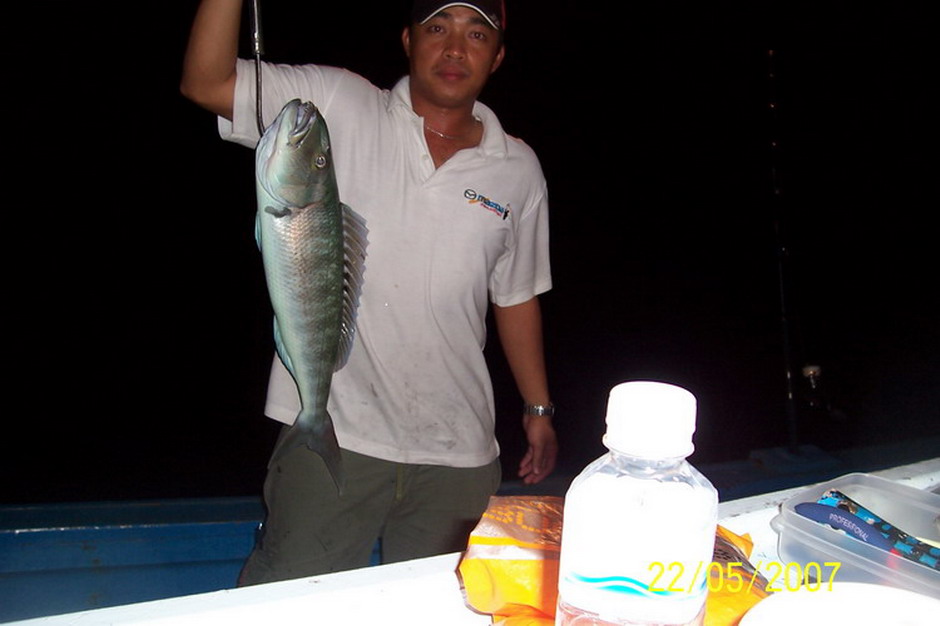 และแล้วสิ่งที่ผมตามหาก็เจอจนได้ครับ ปลาเลี้ยงของผมที่สิมิลัน อิอิ ผมคงดวงดีกับปลากะพงเขียวอ่ะครับ ได