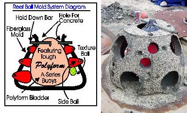 diagram และ reef ball ที่เพิ่งหล่อเสร็จ