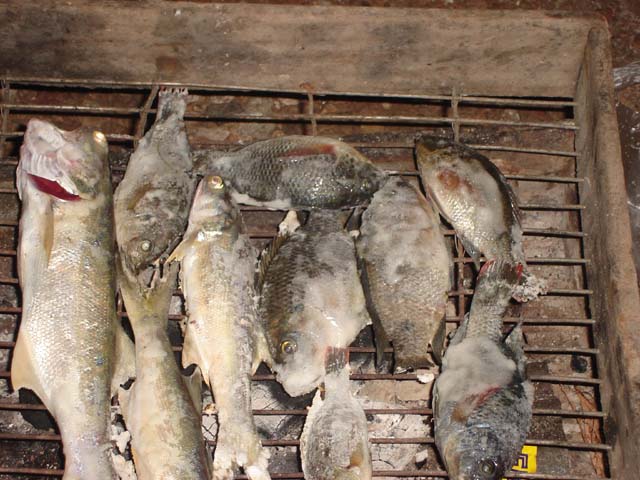 ที่มาของชื่อทริปนี้ค๊าบป๋ม  กุเลาถ่าน  555  เจอปิ้งบนเตาถ่านซะ
ปลาสด ๆ  ล้างน้ำ  คลุกเกลือไอโอดีน  