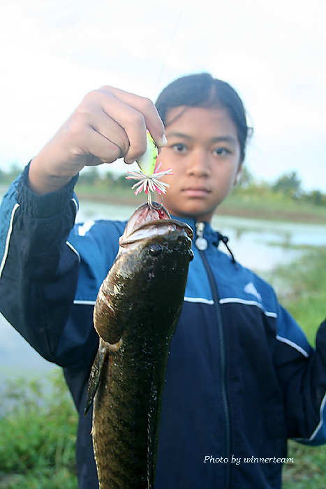 น้องเต๋าหนูน้อยที่ฝีมือการตีเหยื่อปลอมไม่แพ้ใคร :cheer: :cheer: