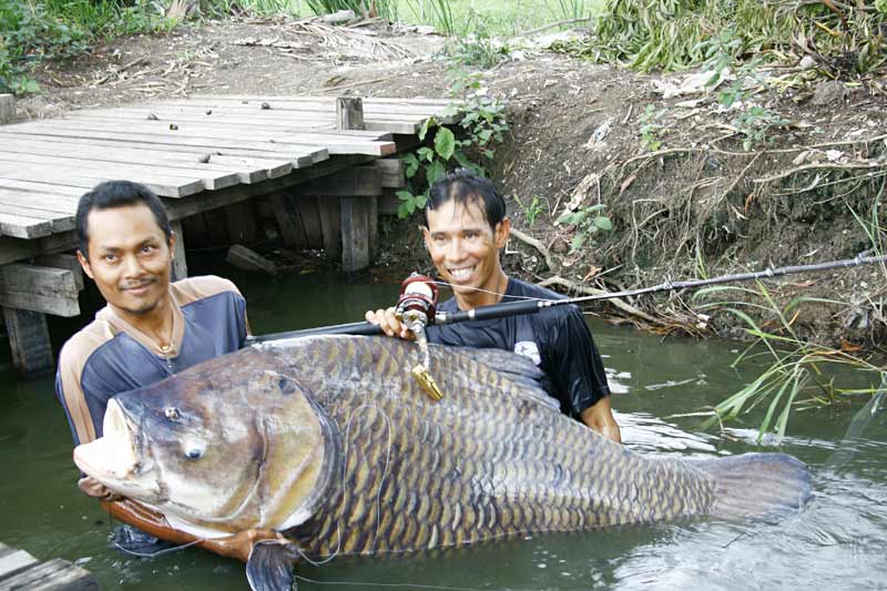 ยกได้แค่นี้แหละครับ :grin: